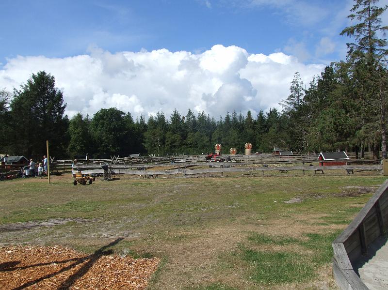 Sofia i  FarmFun 047.jpg